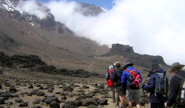 Atteindre les Sommets: Quelle Condition Physique pour Conquérir le Kilimandjaro ?