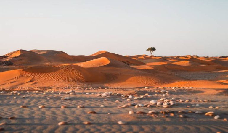 Explorez la Namibie : Entre Dunes Épiques et Faune Sauvage