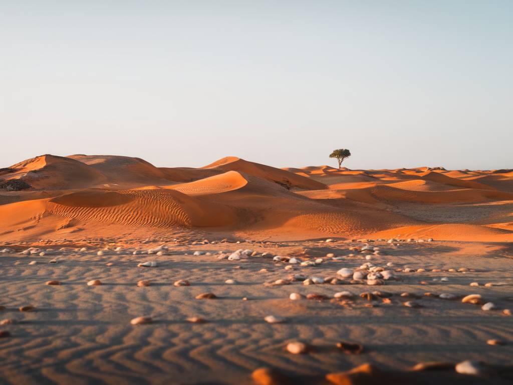 Explorez la Namibie : Entre Dunes Épiques et Faune Sauvage