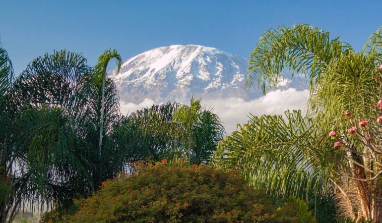 Les Meilleurs Parcs Nationaux pour un Safari Inoubliable en Tanzanie