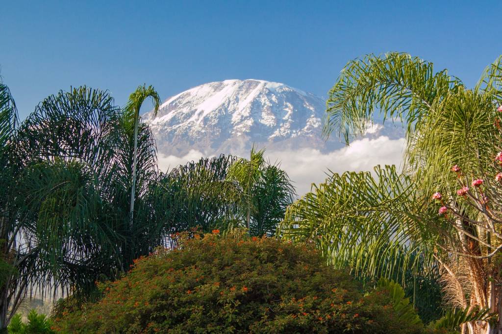 Les Meilleurs Parcs Nationaux pour un Safari Inoubliable en Tanzanie