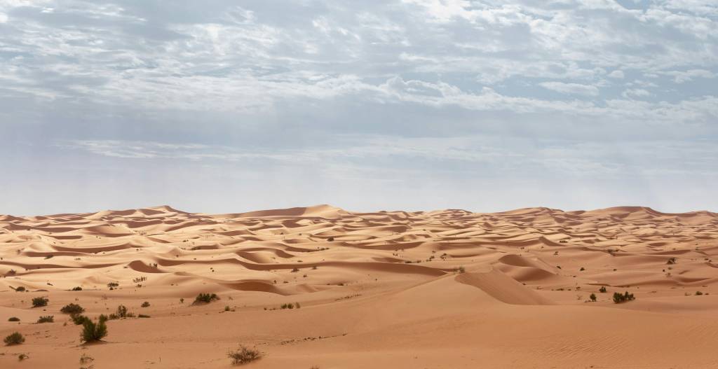 Découvrir les merveilles du Sahara algérien à travers un voyage inoubliable